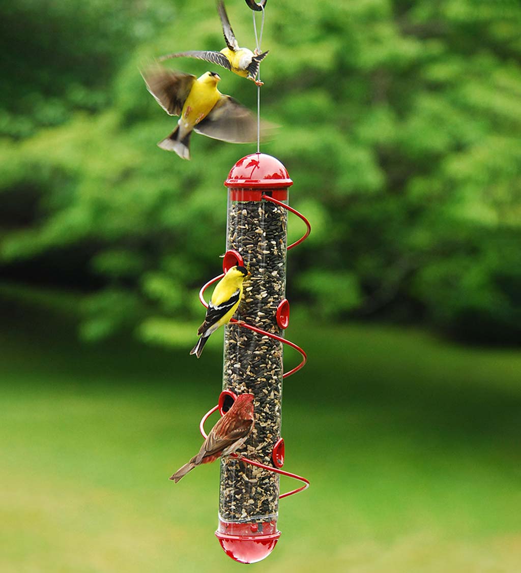 Red Spiral-Perch Finch Bird Feeder