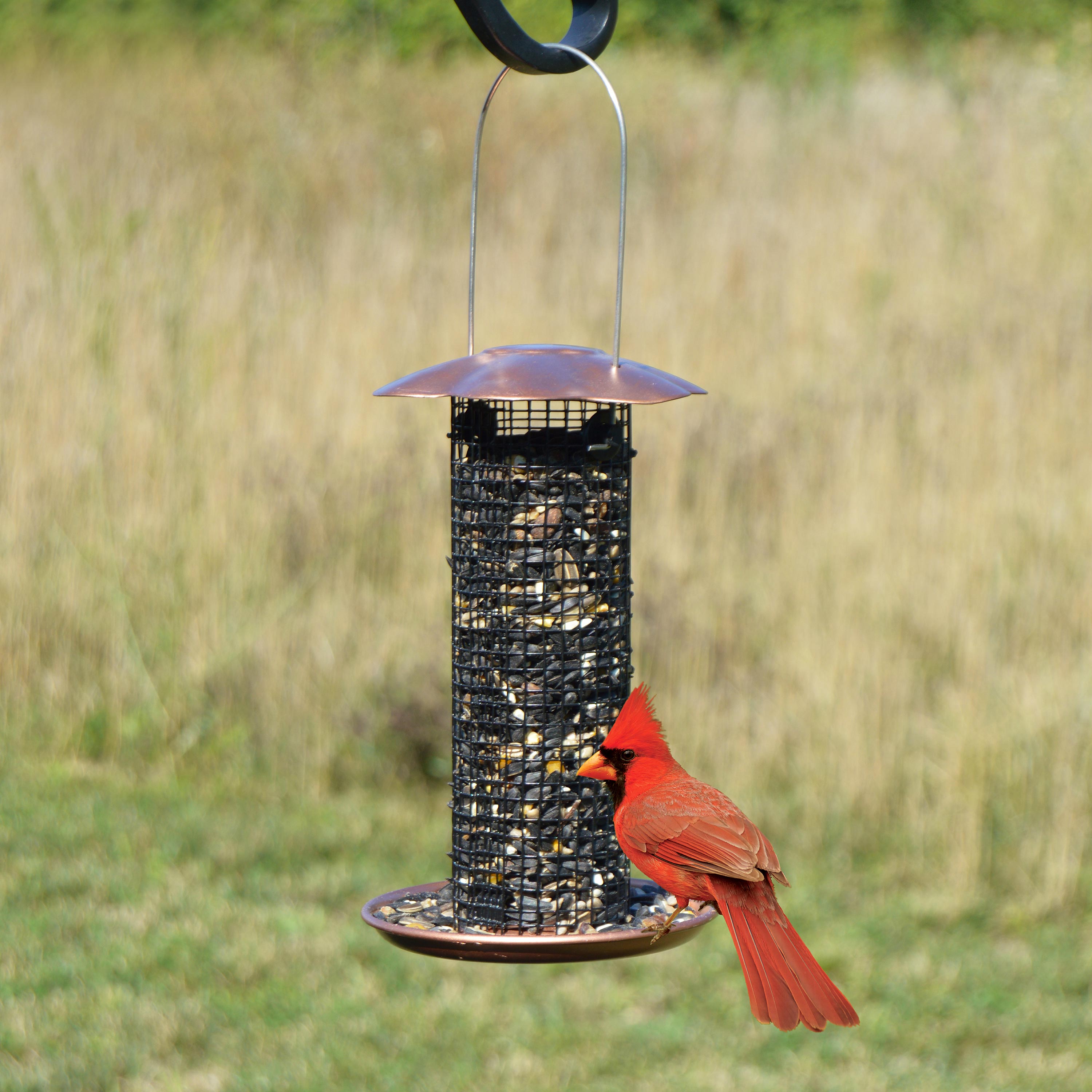 Petite Copper Sunflower Seed Bird Feeder - Copper