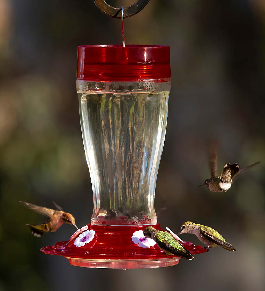 Jumbo 40-Ounce Hanging Hummingbird Feeder