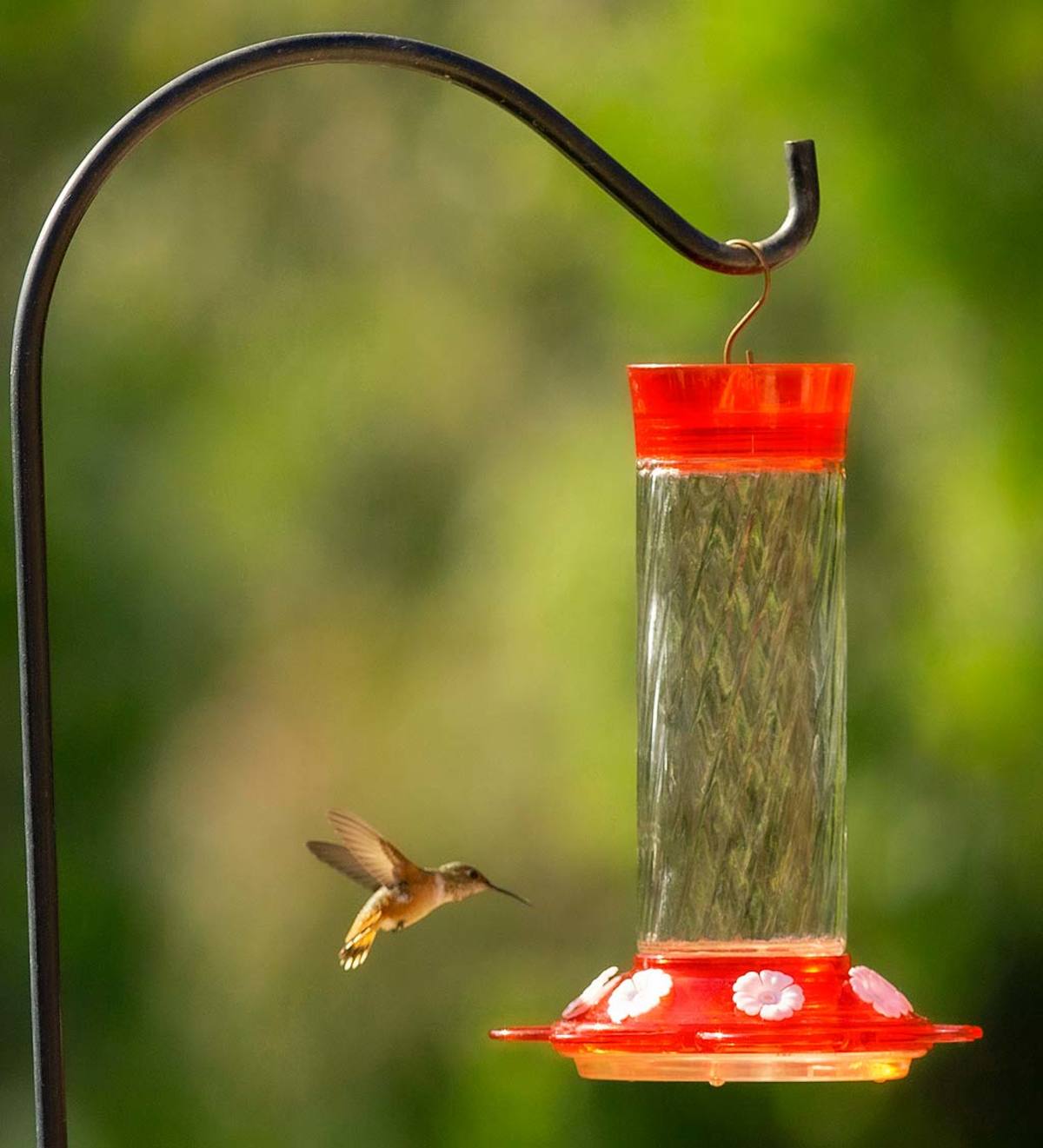 Diamond 30-Ounce Glass-Bottle Hummingbird Feeder