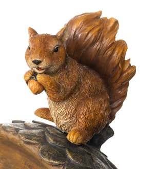 Squirrel Birdbath With Tree Trunk Base And Acorn Basin