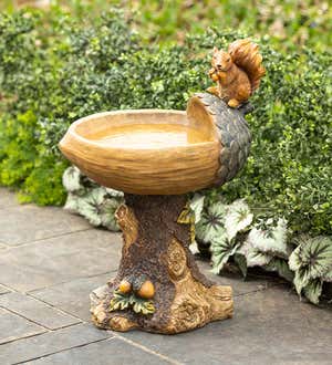 Squirrel Birdbath With Tree Trunk Base And Acorn Basin