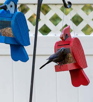 Colorful Bird-Shaped Hanging Wooden Bird Feeder