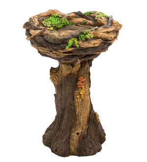 Succulent Bird Nest Tree Stump Birdbath