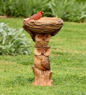 Carved Resin Owls Birdbath Garden Accent