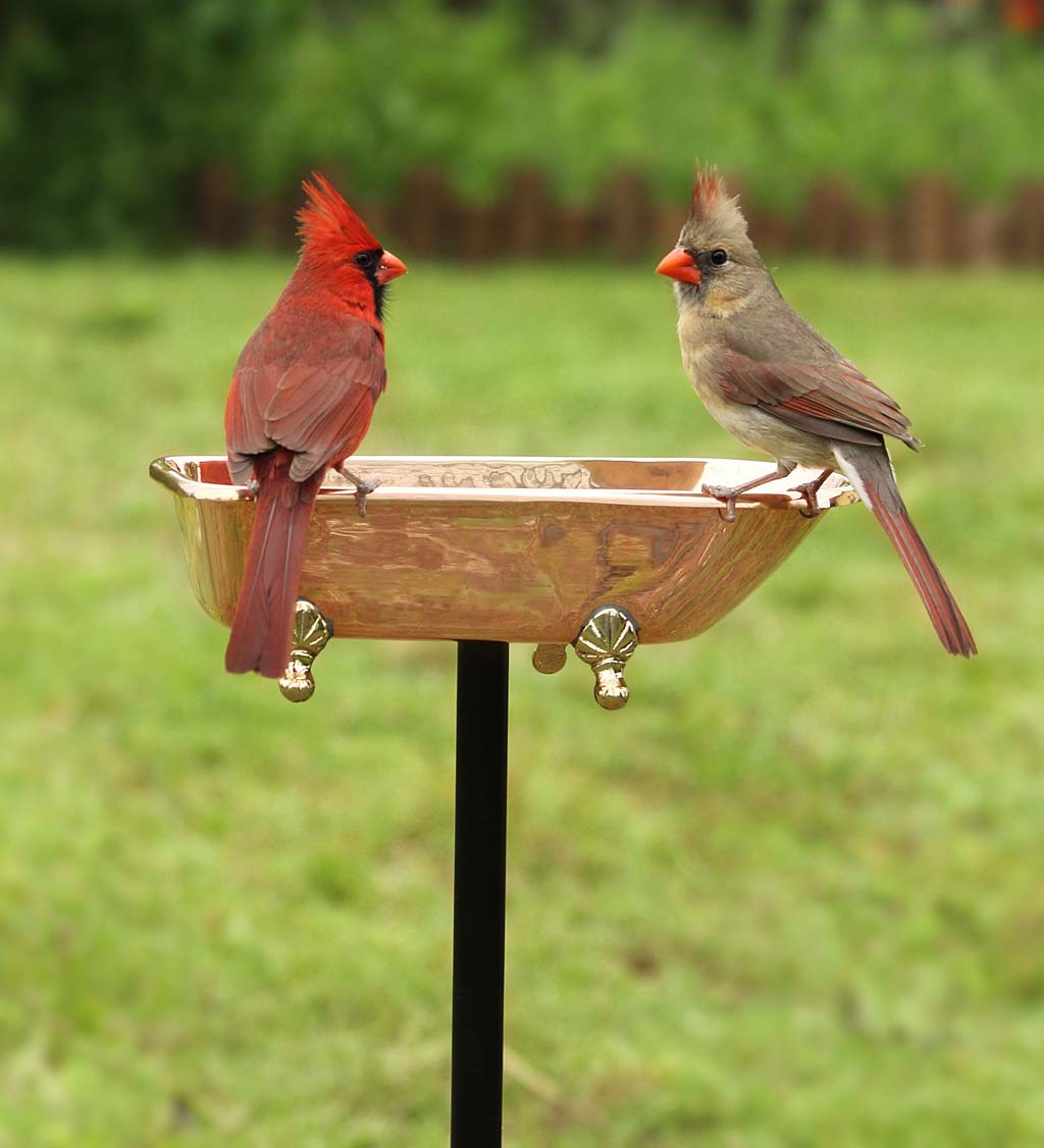 Splish Splash Birdbath, Polished Copper