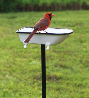 Splish Splash Birdbath, Brass With White Finish  - White