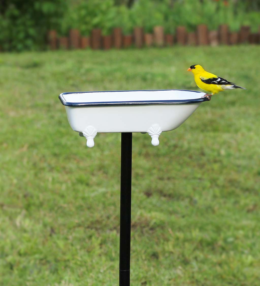 Splish Splash Birdbath, Brass With White Finish