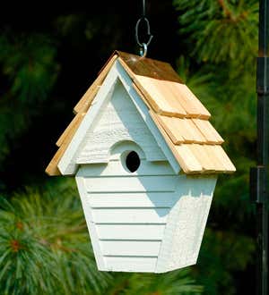 Warbling Wren Birdhouse