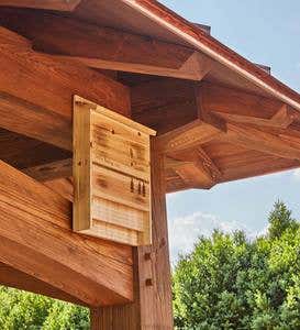 Let's Hang Out Wood Bat House Shelter