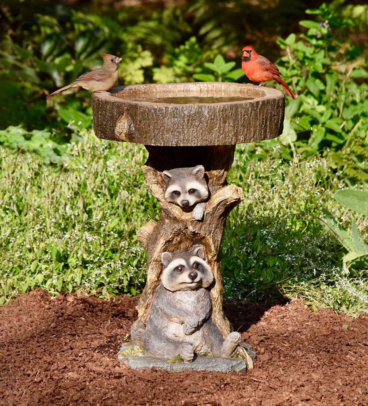 Resin Raccoon Birdbath