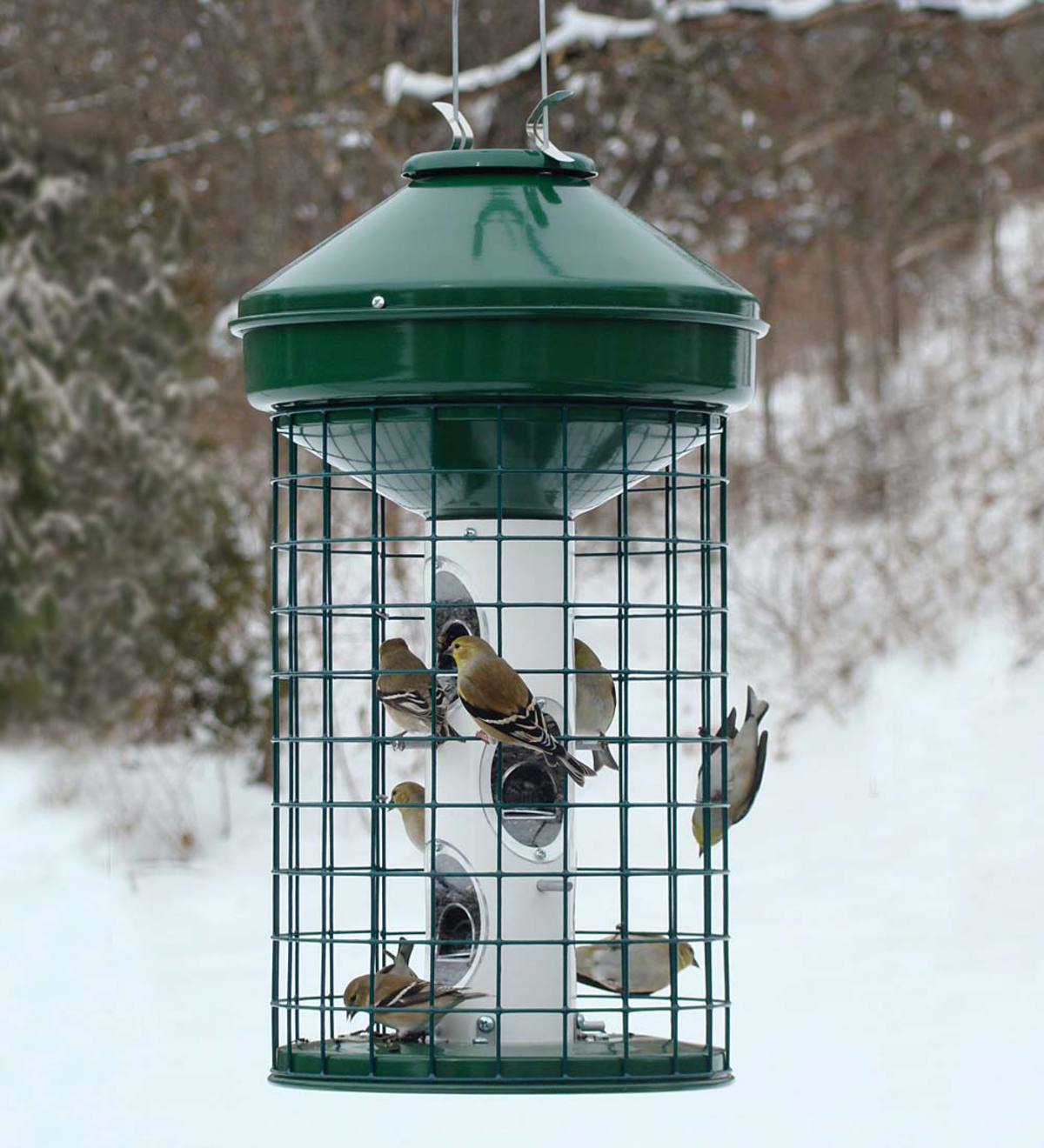 Squirrel-Resistant Caged Tube Bird Feeder