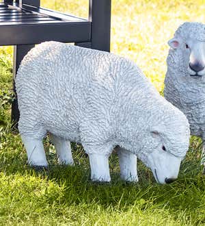 Grazing Merino Sheep Garden Statue