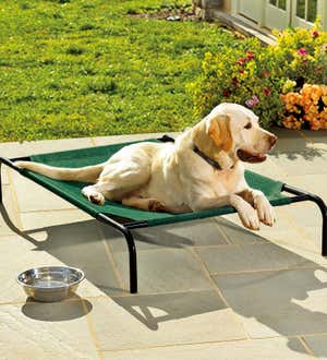 Small Weather-Resistant Raised Mesh Pet Bed