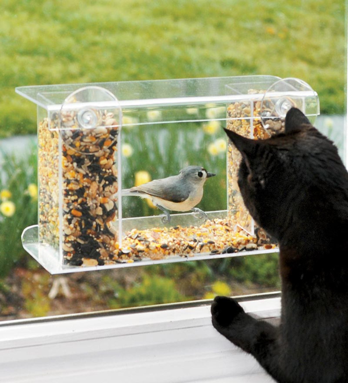 Window-Mount See-Through Clear Plastic Bird Feeder