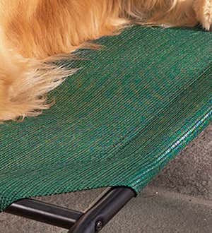 Small Weather-Resistant Raised Mesh Pet Bed