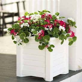 Faux Red and White Geranium Urn/Planter Filler