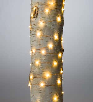 Firefly String Lights, 60 Warm White LEDs on Copper Wire, Battery Operated, 9'10"L