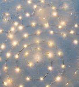 Firefly String Lights, 60 Warm White LEDs on Silver Wire, Battery Operated, 9'10"L