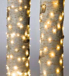 Firefly String Lights, 240 Warm White LEDs on Bendable Wire, Electric, 40'L