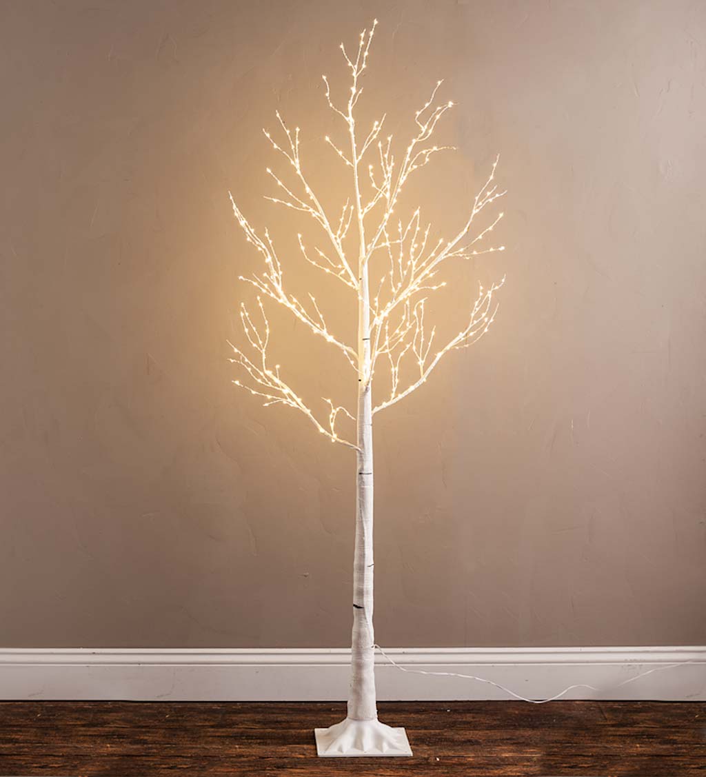 Medium Birch Tree with 400 Micro Lights, 59"H