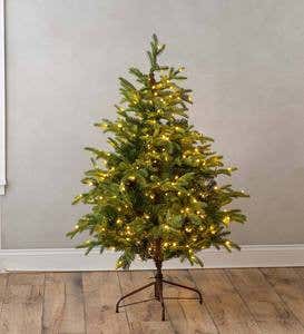 Pre-Lit Mountain Spruce Christmas Trees with 8-Function LEDs