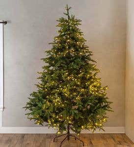 Pre-Lit Mountain Spruce Christmas Trees with 8-Function LEDs
