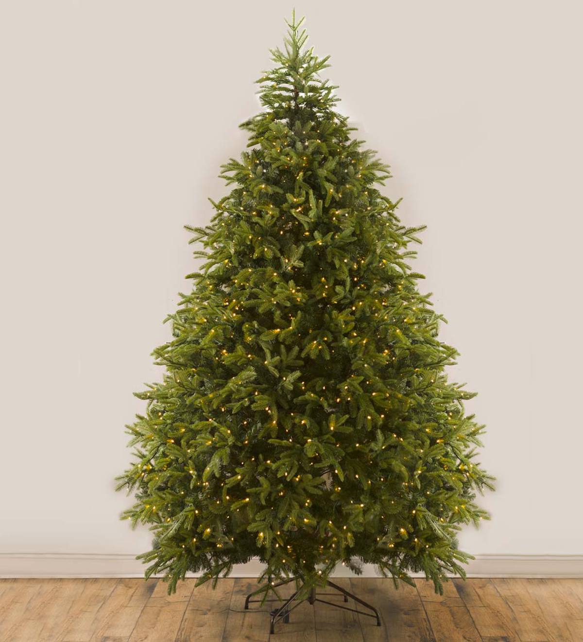 6'6" Mountain Spruce Christmas Trees with 780 Lights