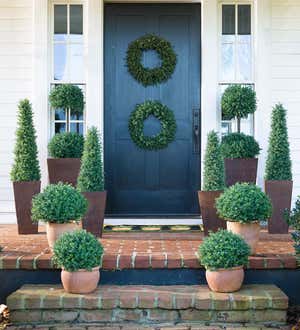 Faux Boxwood Topiary Cone, 30"