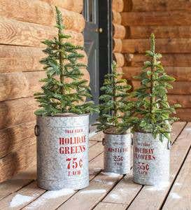 Vintage Style Holiday Galvanized Metal Buckets, Set of 3