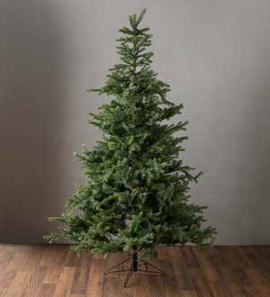 Grandis Fir Christmas Trees with 8-Function Warm White LEDs