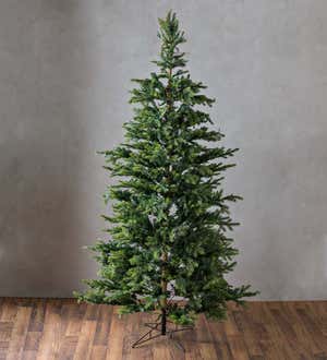 Grandis Fir Christmas Trees with 8-Function Warm White LEDs