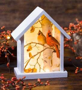 Lighted Cardinal Birdhouse Accent