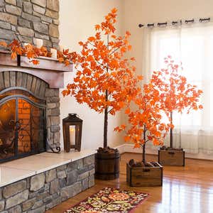 Indoor/Outdoor Electric Lighted Maple Trees