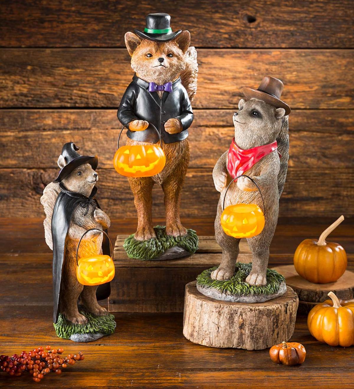 Halloween Animal Bandit Statues, Set of 3