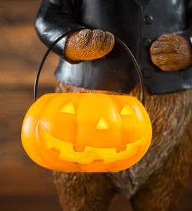 Halloween Animal Bandit Lighted Statues