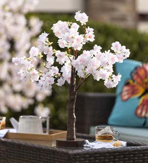 Lighted Tabletop Weeping Cherry Tree