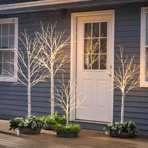 Indoor/Outdoor Birch Tree with Warm White Lights