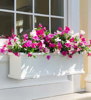 Lexington Self-Watering Window Boxes with Hanging Brackets