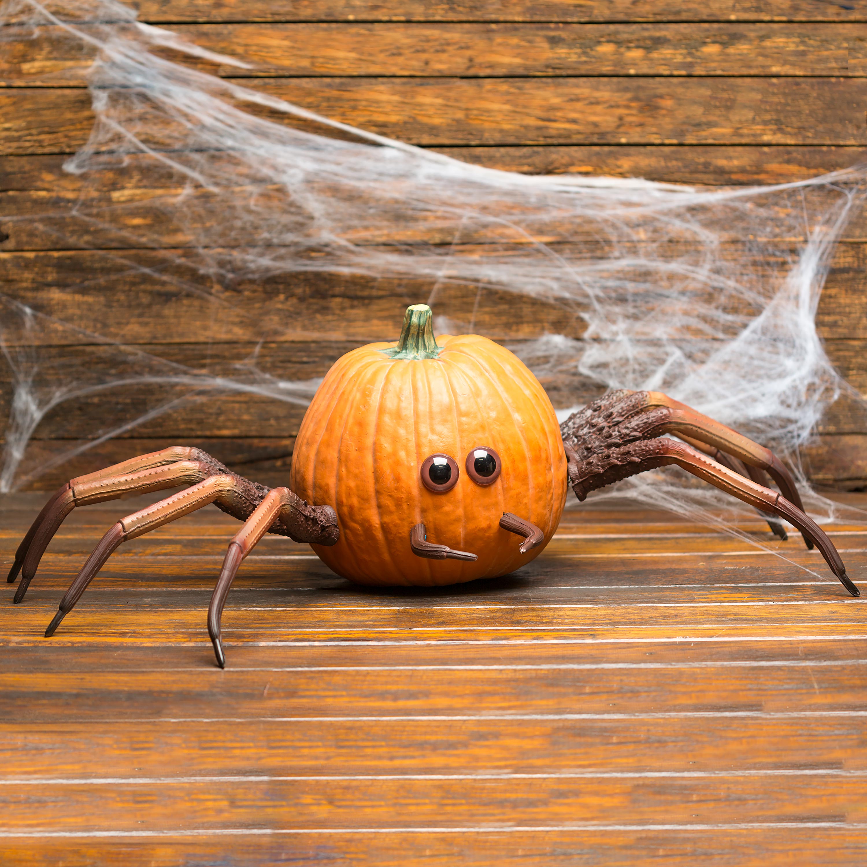 Halloween Spider Pumpkin Appendages, 6-Piece Set