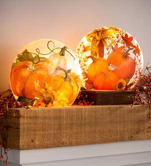 Pumpkin and Sunflower Crackle Glass Accent Light