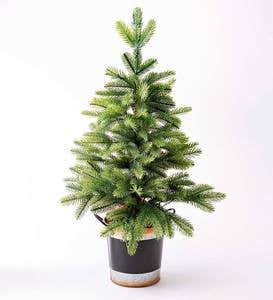 Lighted Tabletop Christmas Tree in Galvanized Bucket