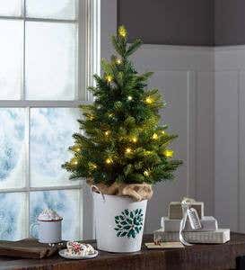 Lighted Tabletop Christmas Tree in White Bucket with Holly Design