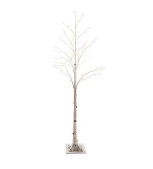 Medium 6'H Indoor/Outdoor Birch Tree with 256 White and Multicolor Lights