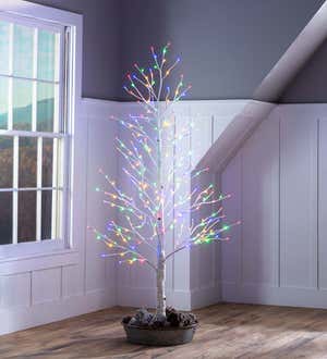 Small 4'H Indoor/Outdoor Birch Tree with 112 White and Multicolor Lights