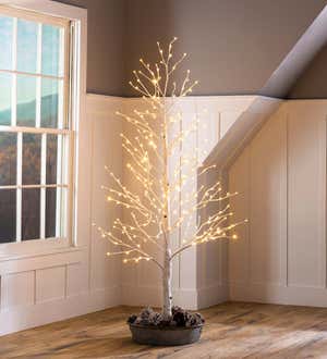 Indoor/Outdoor Birch Tree with Warm White and Multicolor Lights