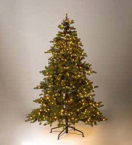 Lighted Outdoor Chippewa Spruce Faux Christmas Tree