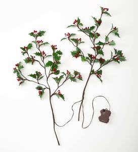 Indoor/Outdoor Holly and Berry Lighted Branches, Set of 2