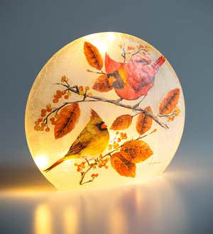 Accent Light with Cardinal Pair and Fall Foliage