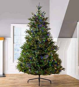 9' Arlberg Fir Christmas Tree